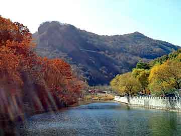 新澳天天开奖资料大全旅游团，电动栏杆